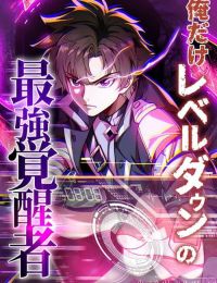 Ore Dake Level Down No Saikyou Kakuseisha