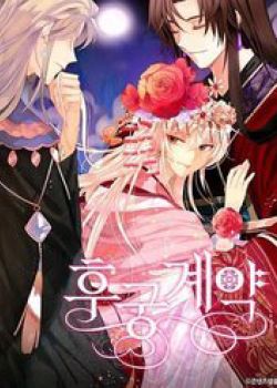 ai-phi-dao-cua-nang-roi-roi