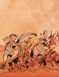 Conquests – Chiến Chinh