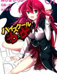 High School DXD