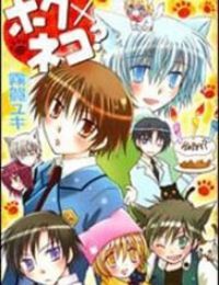 Boku x Neko?