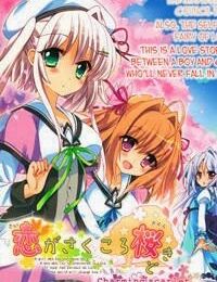 Koi ga Saku Koro Sakura Doki – Charming Scarlet