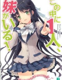 Kono Naka ni Hitori, Imouto ga Iru!