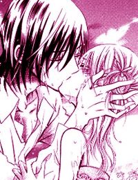 Marguerite – Hoa tình yêu